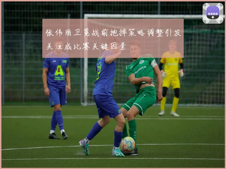 张伟丽卫冕战前抱摔策略调整引发关注成比赛关键因素
